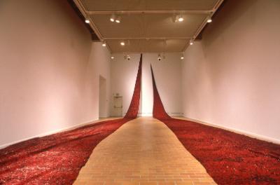 Velvet, installation view, 1995. Image courtesy of the Illingworth Kerr Gallery 